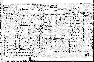 census  1891 in motherwell